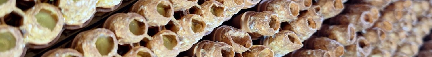 Gelée royale et inflammation : ce que dit vraiment la science