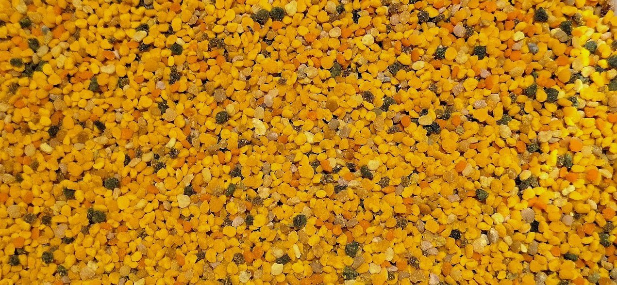 Pollen frais : comment le prendre, combien par jour, comment le conserver